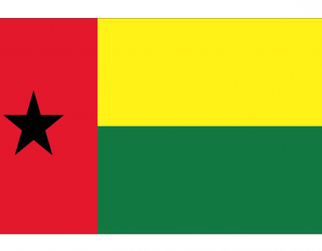 Eleições Legislativas na Guiné-Bissau