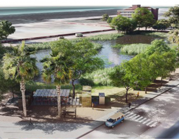 Câmara de Bissau propõe gestão partilhada do Parque M´Batonha