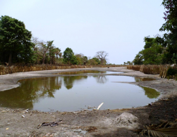 Construção de um Parque Urbano em Bissau