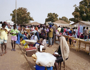 Criação de Agência de Promoção de Investimentos na Guiné-Bissau