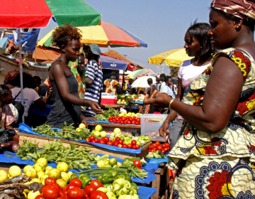 Novas regras de fiscalização alimentar na Guiné-Bissau