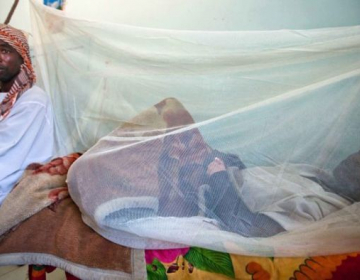 Guiné-Bissau distribui redes mosquiteiras contra o paludismo