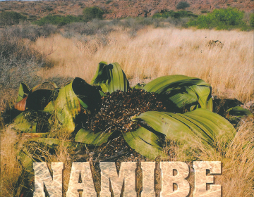 Lançamento da monografia "Namibe - Terra da Felicidade"
