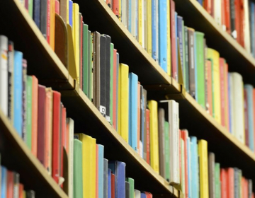 Biblioteca online tem mais de três mil livros gratuitos em português