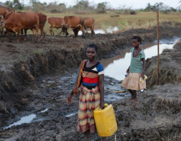 Construção de estradas nas zonas rurais em Moçambique