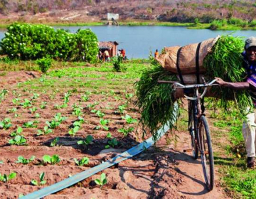 Voucher agrícola em Nampula