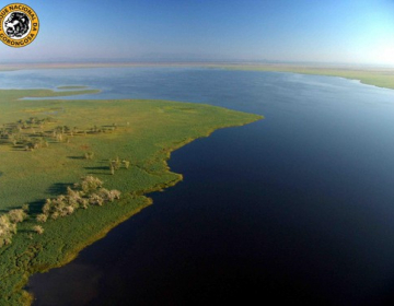 UCCLA recebe delegação do Parque Nacional da Gorongosa 