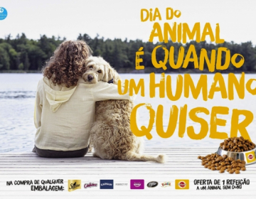 Cascais celebra Dia Mundial do Animal com inúmeras iniciativas