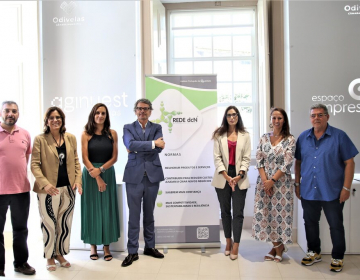 Projeto-piloto de apoio a empresas implementado em Odivelas
