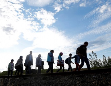 Sintra cria bolsa para apoio a refugiados