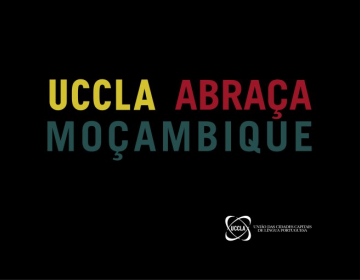 Coordenação no apoio às vítimas de Moçambique 