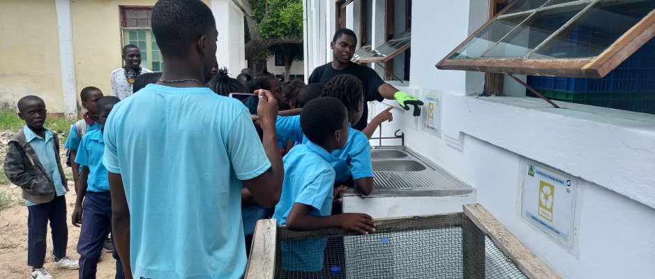Ação de Educação e Cidadania Ambiental decorre na Ilha de Moçambique 
