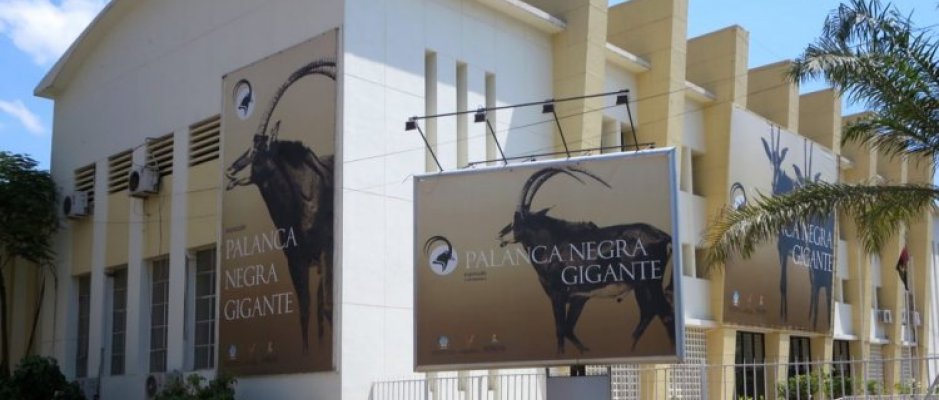 Reabertura do Museu de História Natural de Angola