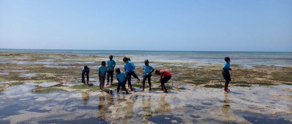 Oficina para crianças “A minha praia” na Ilha de Moçambique