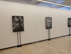 Inaugurada exposição "Rostos da Imigração"