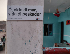 UCCLA celebra o Dia Nacional das Peixeiras em Cabo Verde