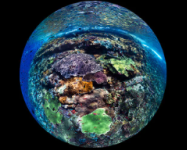 Acoes da Decada 10-2025