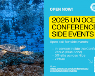 Conferência do Oceano das Nações Unidas 2025