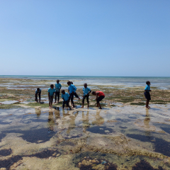 Implementação da estação de reciclagem Precious Plastic na Ilha de Moçambique