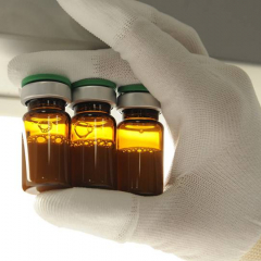 Brasil lança primeiro teste do vírus Zika