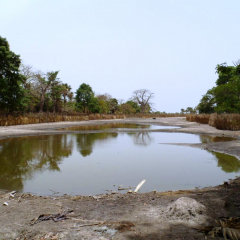 Construção de um Parque Urbano em Bissau