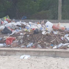 Escolas de Bissau vão aprender educação ambiental