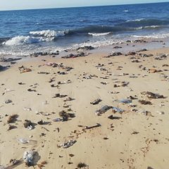 Aprovado projeto “Solução Participada para Plásticos Marítimos” na Ilha de Moçambique