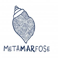 Lançamento público da plataforma Metamarfose