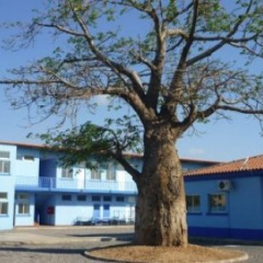 Luanda conta com onze novas esquadras e postos policiais