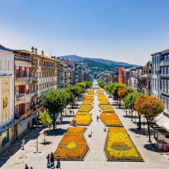 Braga escolhida para receber Conferência Anual da Eurocities em 2025