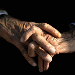 Lisboa aprova 'Cuidadores nas Avenidas' para dar resposta a idosos