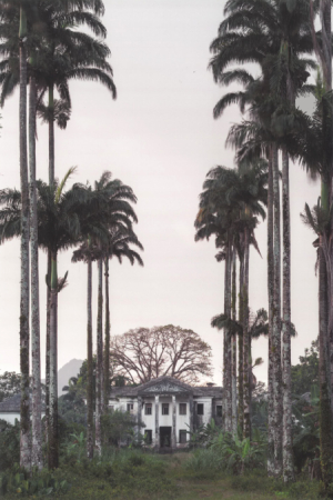 Eixo de Ribeira Peixe - pagina 45