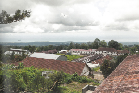 Monte Café - pagina 51